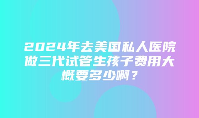 2024年去美国私人医院做三代试管生孩子费用大概要多少啊？