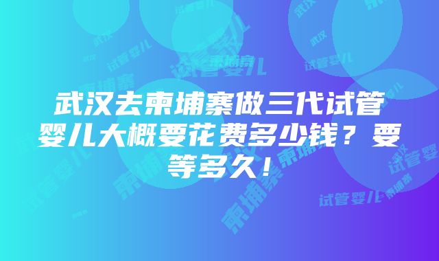 武汉去柬埔寨做三代试管婴儿大概要花费多少钱？要等多久！