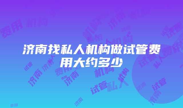 济南找私人机构做试管费用大约多少