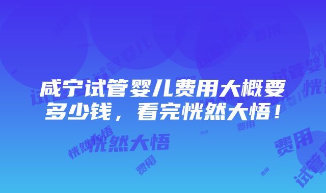 咸宁试管婴儿费用大概要多少钱，看完恍然大悟！