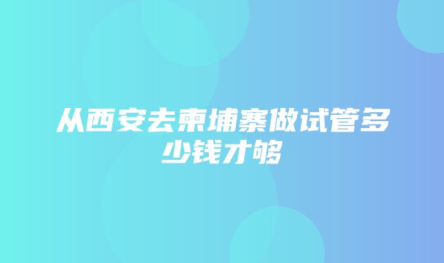 从西安去柬埔寨做试管多少钱才够