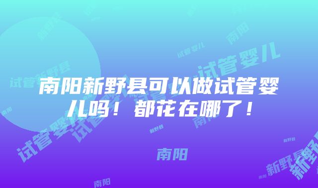 南阳新野县可以做试管婴儿吗！都花在哪了！