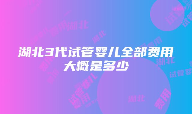 湖北3代试管婴儿全部费用大概是多少