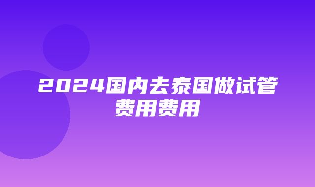 2024国内去泰国做试管费用费用