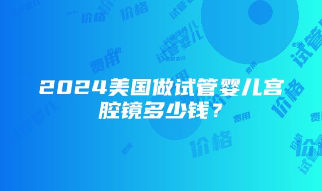 2024美国做试管婴儿宫腔镜多少钱？