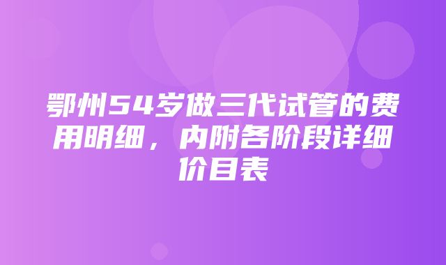 鄂州54岁做三代试管的费用明细，内附各阶段详细价目表