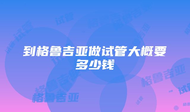 到格鲁吉亚做试管大概要多少钱