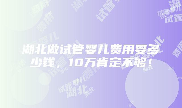 湖北做试管婴儿费用要多少钱，10万肯定不够！