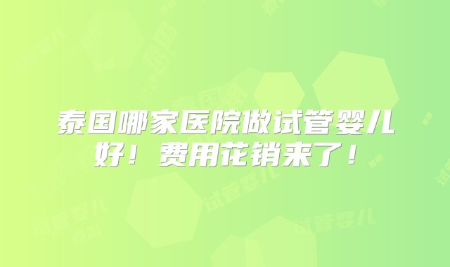 泰国哪家医院做试管婴儿好！费用花销来了！