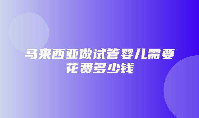 马来西亚做试管婴儿需要花费多少钱