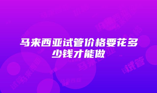 马来西亚试管价格要花多少钱才能做