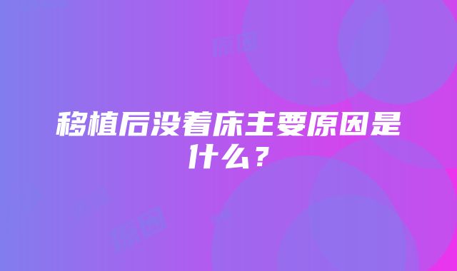 移植后没着床主要原因是什么？