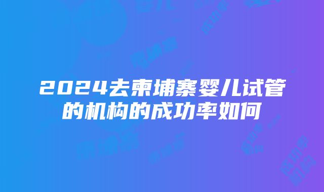 2024去柬埔寨婴儿试管的机构的成功率如何