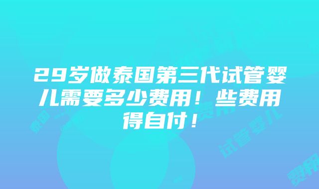 29岁做泰国第三代试管婴儿需要多少费用！些费用得自付！