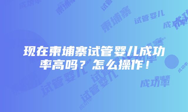 现在柬埔寨试管婴儿成功率高吗？怎么操作！