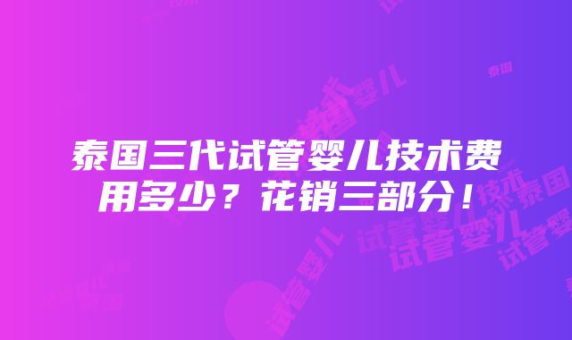 泰国三代试管婴儿技术费用多少？花销三部分！