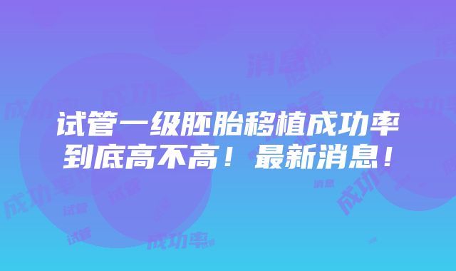 试管一级胚胎移植成功率到底高不高！最新消息！