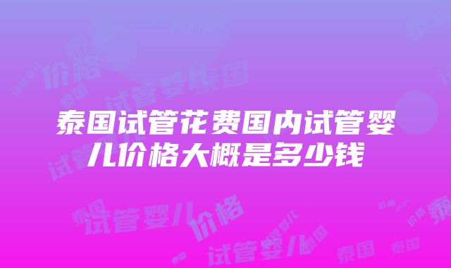 泰国试管花费国内试管婴儿价格大概是多少钱