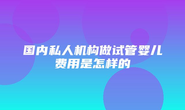 国内私人机构做试管婴儿费用是怎样的