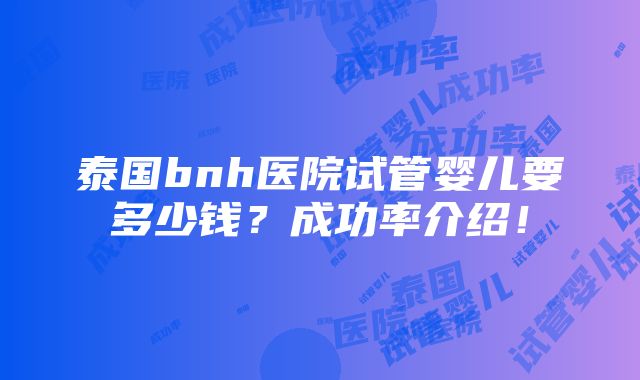 泰国bnh医院试管婴儿要多少钱？成功率介绍！