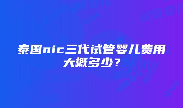 泰国nic三代试管婴儿费用大概多少？