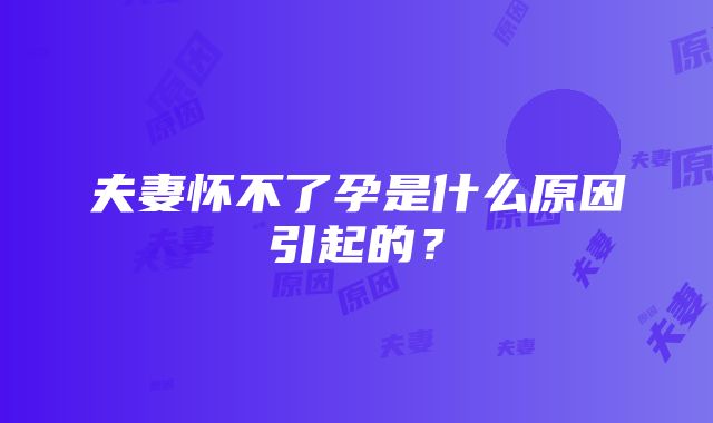 夫妻怀不了孕是什么原因引起的？