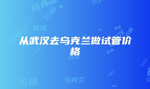 从武汉去乌克兰做试管价格