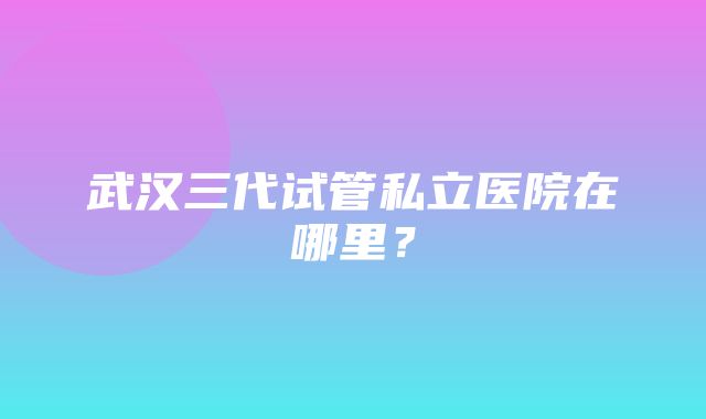 武汉三代试管私立医院在哪里？