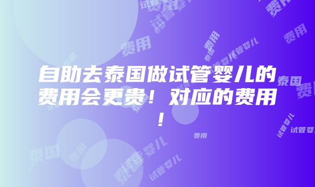 自助去泰国做试管婴儿的费用会更贵！对应的费用！