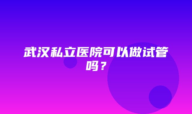 武汉私立医院可以做试管吗？