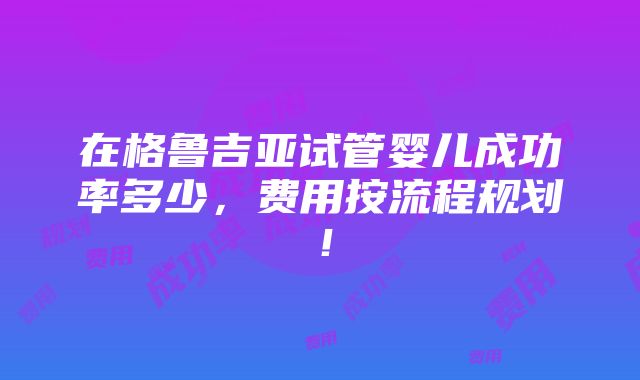 在格鲁吉亚试管婴儿成功率多少，费用按流程规划！