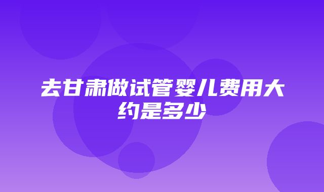 去甘肃做试管婴儿费用大约是多少