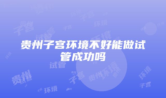 贵州子宫环境不好能做试管成功吗