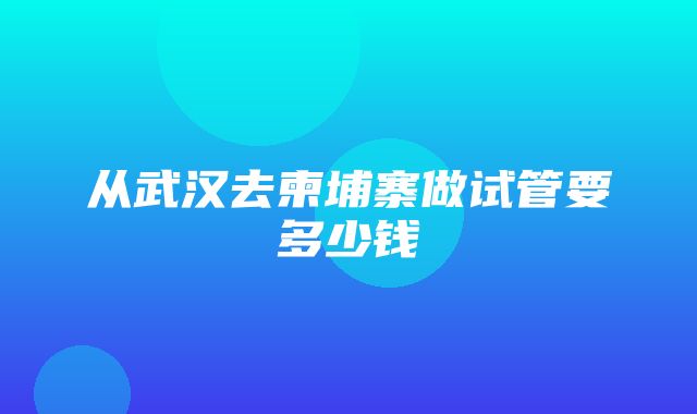 从武汉去柬埔寨做试管要多少钱