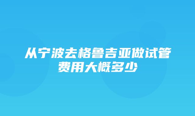 从宁波去格鲁吉亚做试管费用大概多少