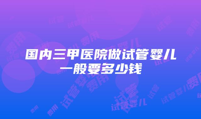 国内三甲医院做试管婴儿一般要多少钱