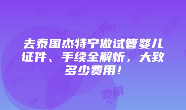 去泰国杰特宁做试管婴儿证件、手续全解析，大致多少费用！