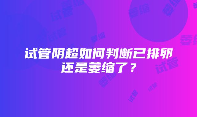 试管阴超如何判断已排卵还是萎缩了？