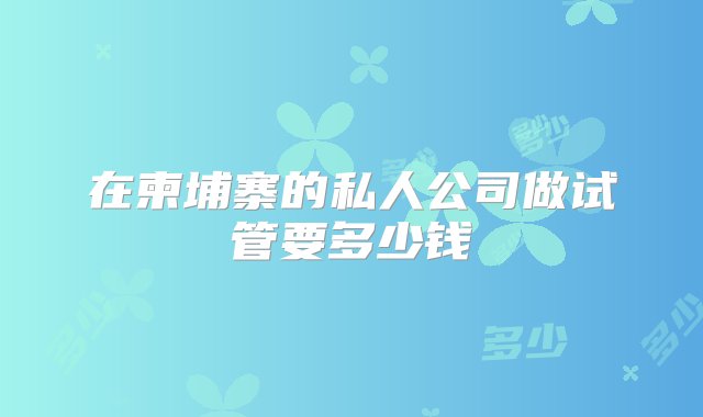 在柬埔寨的私人公司做试管要多少钱