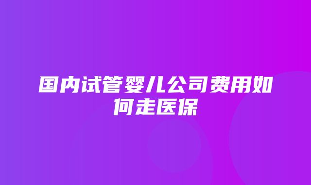 国内试管婴儿公司费用如何走医保