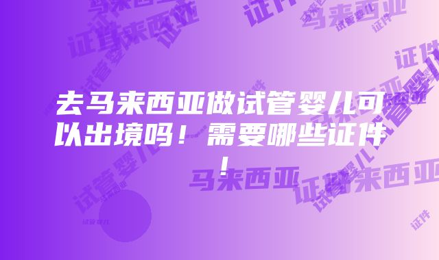 去马来西亚做试管婴儿可以出境吗！需要哪些证件！