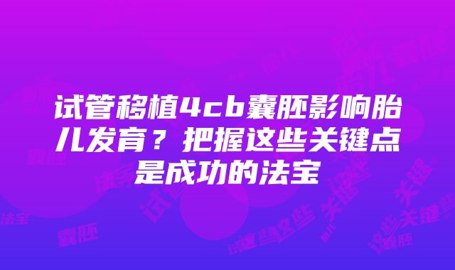 试管移植4cb囊胚影响胎儿发育？把握这些关键点是成功的法宝