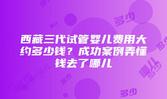 西藏三代试管婴儿费用大约多少钱？成功案例弄懂钱去了哪儿