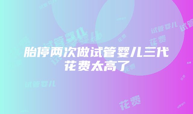 胎停两次做试管婴儿三代花费太高了