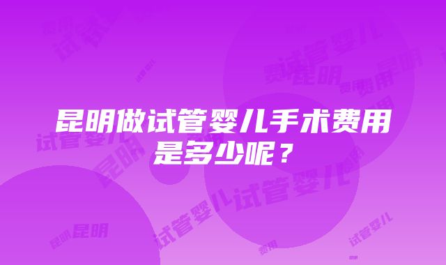 昆明做试管婴儿手术费用是多少呢？