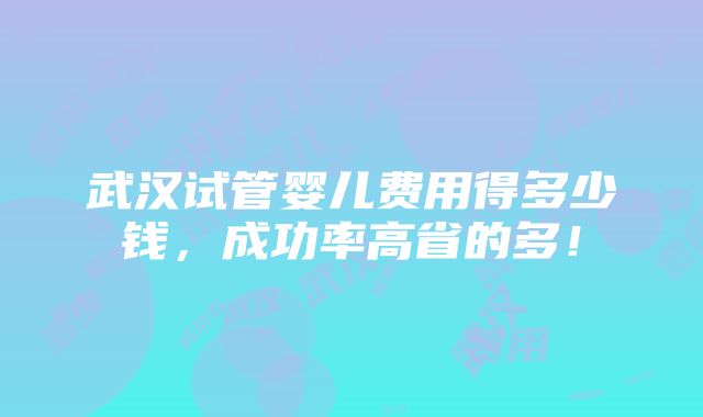 武汉试管婴儿费用得多少钱，成功率高省的多！