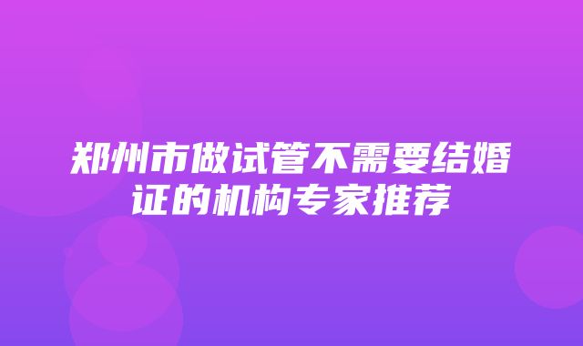 郑州市做试管不需要结婚证的机构专家推荐