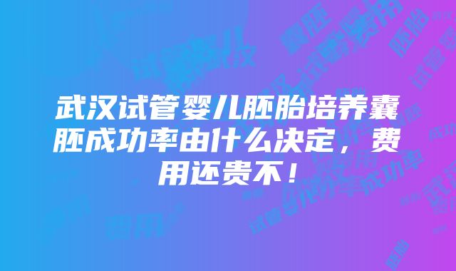 武汉试管婴儿胚胎培养囊胚成功率由什么决定，费用还贵不！