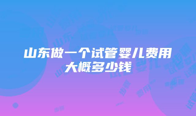 山东做一个试管婴儿费用大概多少钱