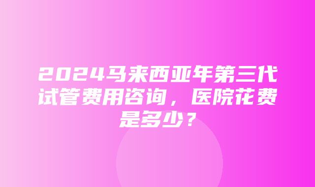 2024马来西亚年第三代试管费用咨询，医院花费是多少？